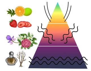 pyramide olfactive Parfum de Lumière bougies
